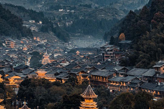 夜钓大鲫鱼的技巧与艺术，深度探讨钓鱼之道，揭秘成功秘诀